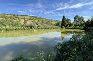 Grundstück zu kaufen in 97922 Lauda-Königshofen, Bieterverfahren - Naturparadies mit ca. 8.200m² Grundstück mit Fischteichen und Gartenhütte