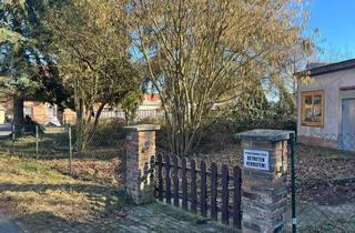 Grundstück zu kaufen in 06295 Bornstedt, Großzügiges Baugrundstück in Bornstedt