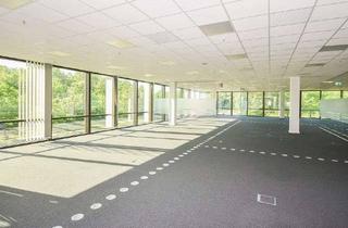 Büro zu mieten in 33106 Paderborn, Helle und moderne Bürofläche in Bestlage von Paderborn!