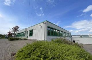 Lager mieten in 32457 Porta Westfalica, Mietobjekt für Großhandel/Gewerbe/Büro/Lager in etablierter Lage