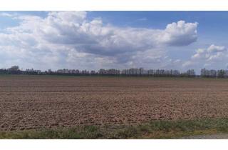 Gewerbeimmobilie kaufen in 14822 Brück, 63,9 ha Acker- und Waldflächen in Trebitz und Brück