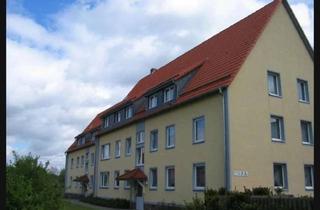 Wohnung mieten in 38259 Ringelheim, Nachmieter gesucht – Gemütliche 1-Zimmer-Dachgeschosswohnung in Salzgitter-Ringelhei