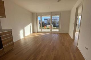 Wohnung mieten in Ströllerbachallee 58, 74613 Öhringen, Erstbezug in Öhringen: 2-Zimmer-Wohnung mit TG-Stellplatz und eigenem Garten