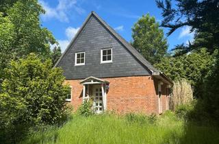 Einfamilienhaus kaufen in 19357 Dambeck, Einfamilienhaus mit Kamin und großen uneinsehbarem Grundstück in Dambeck