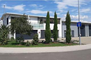 Gewerbeimmobilie kaufen in Senator-Franz-Burda-Str. 11, 77871 Renchen, Produktion + Lager + Werkstatt + Wohnung neu/modern