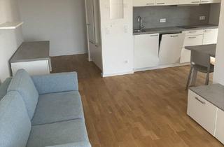Wohnung mieten in 12681 Berlin, Komfort-1-Zimmer-Neubau-Apartment nahe S-Bahnhof Springpfuhl: Rückzugsort Balkon oder Dachterrasse