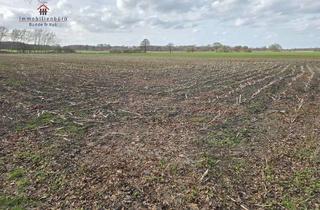 Gewerbeimmobilie kaufen in 26169 Friesoythe, Ackerland zur Größe von 0,5598 ha in Friesoythe zu verkaufen