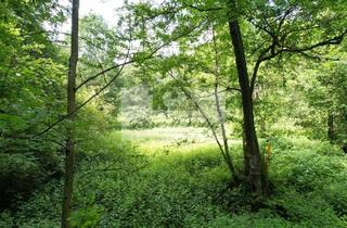 Gewerbeimmobilie kaufen in 45470 Raadt, Zerres u. Sohn: Waldgrundstück in Mülheim am Rumbachtal