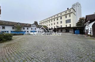 Gewerbeimmobilie kaufen in Mühlenstraße 9b, 61194 Niddatal, Historisches Mühlenanwesen mit Nebengebäuden im Ortskern von Niddatal - Assenheim
