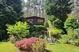 Haus kaufen in 06869 Coswig, Sommer 2026 im eigenen Freizeitbungalow in ruhiger, idyllischer Waldlage von Coswig Möllensdorf