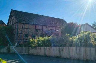 Haus kaufen in 38685 Langelsheim, Langelsheim - VON PRIVAT Entkernte Scheune mit BAUGENEHMIGUNG (450 m2)