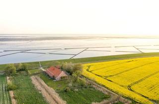 Wohnung kaufen in Westerburer Polder, 26553 Dornum, Vermietete Denkmal-FeWo am Nordseedeich - 4,95★, provisionsfrei, ~250 Nächte/Jahr