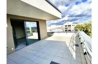 Penthouse kaufen in 68309 Vogelstang, Einzigartiges 2 Zimmer Penthouse mit toller, großer Sonnen-Terrasse