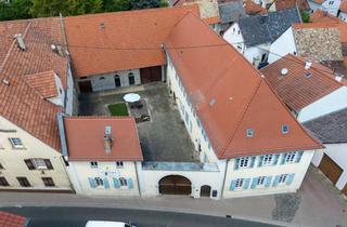 Bauernhaus kaufen in Mainzer Straße 15, 55239 Gau-Odernheim, Barockes Bauernhaus in Gau-Odernheim mit viel Platz