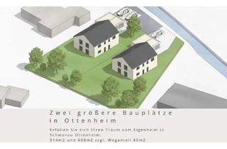 Einfamilienhaus kaufen in 77963 Schwanau, Individuelles Einfamilienhaus in Schwanau-Ottenheim - Nachhaltig gebaut - inkl. Grundstück!