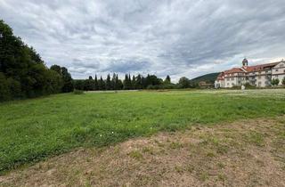 Grundstück zu kaufen in 97816 Lohr, Marktanpassung - Areal mit Zukunft: zusammenhängend, strategisch, entwicklungsstark in Lohr am Main