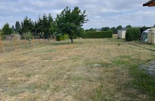 Grundstück zu kaufen in 03238 Finsterwalde, 1.400 m² Freiraum für Ihre Wohnträume – Grundstück in Finsterwalde.
