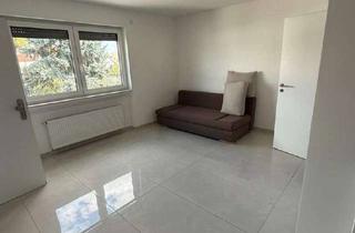 Wohnung mieten in 64546 Mörfelden-Walldorf, Modernes 1-Zimmer-Apartment mit Einbauküche - auf Wunsch möbliert - in Mörfelden-Walldorf