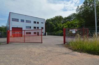 Gewerbeimmobilie kaufen in 66787 Wadgassen, Gewerbeimmobilie mit Büro, Lagerflächen und moderner Hochregalanlage in Wadgassen