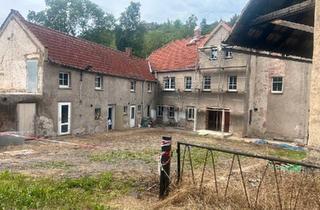 Haus kaufen in 07806 Neustadt, Neustadt an der Orla - Mühle zu verkaufen bei Neunhofen