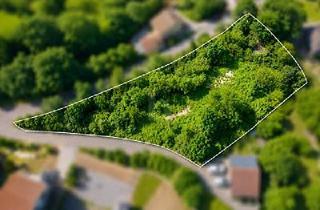 Grundstück zu kaufen in 96170 Priesendorf, Priesendorf - TRAUMSTÜCK IN DER FRÄNKISCHEN LANDSCHAFT