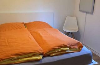 Wohnung kaufen in 74918 Angelbachtal, Lukrative Ferienwohnung, Wohnen mit Charakter: Kompakte 1-Zimmer-Wohnung in Angelbachtal