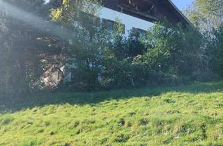Wohnung mieten in 87527 Ofterschwang, Bauernhauswohnung in schönster Allgäuer Naturlandschaft