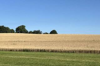Gewerbeimmobilie kaufen in 84144 Geisenhausen, ca. 1,0 bis 6,5 ha teilbare Landwirtschaftliche Fläche/Acker