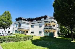 Penthouse mieten in 34471 Volkmarsen, Exklusive Penthouse-Wohnung in Volkmarsen: Barrierefreier Komfort, Traum-Terrasse & Top-Zentrumslage