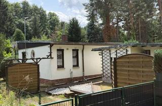 Haus kaufen in 06901 Rotta, Gepflegtes Wochenendgrundstück mit Bungalow in ruhiger Waldlage