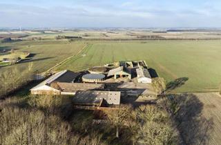 Anlageobjekt in Flensborglandevej 14, 25923 Süderlügum, grenznahe landw. Hofstelle in Dänemark mit 11,5 ha Ackerland (noch provisionsfrei)