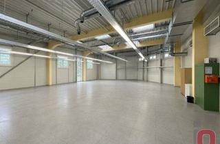 Geschäftslokal mieten in 68519 Viernheim, Perfekt für Elekronik & IT - ca.520m² Halle mit antistatischem Sepzialboden