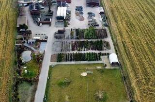 Haus kaufen in 49740 Haselünne, Einzigartige Wohn- und Gewerbeimmobilie mit außergewöhnlichem Entwicklungspotenzial