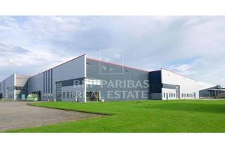 Gewerbeimmobilie mieten in 74564 Crailsheim, Neubau Logistikhalle an der A6