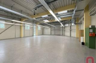 Gewerbeimmobilie mieten in 68519 Viernheim, Perfekt für Elekronik & IT - ca.520m² Halle mit antistatischem Sepzialboden