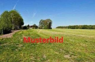 Grundstück zu kaufen in 63683 Ortenberg, Baugrundstück in ruhiger Lage von Ortenberg - OT