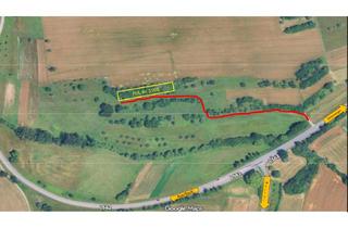 Grundstück zu kaufen in 75210 Keltern, Landwirtschaftliches Grundstück in Keltern-Ellmendingen