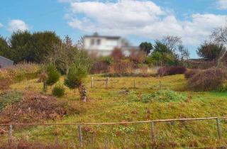 Grundstück zu kaufen in 69250 Schönau, Sonniger Bauplatz in Hanglage mit schönem Talblick 674 m² voll erschlossen, sofort verfügbar, frei
