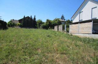 Grundstück zu kaufen in 76889 Schweigen-Rechtenbach, Schweigen Rechtenbach, schöne Bauplatz für EFH , Bungalow,voll erschl. 475qm