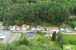 Gewerbeimmobilie kaufen in 66955 Niedersimten, Waldgrundstück ca. 2.930m² in 66955 Pirmasens (Niedersimten) zu Verkaufen