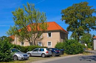 Wohnung mieten in Mittelstraße 13, 59077 Herringen, Ideal für Singles oder Paare, 3 Zimmer in Hamm Herringen
