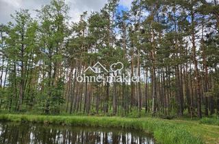 Grundstück zu kaufen in 91350 Gremsdorf, Wald bei Gremsdorf / Höchstadt a.d. Aisch zu verkaufen !