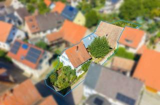 Haus kaufen in 79418 Schliengen, Vielseitige Hofanlage mit großem Garten und zahlreichen Nutzungsmöglichkeiten