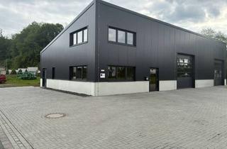 Büro zu mieten in Im Laach 14, 53783 Eitorf, top isolierte Werkhalle mit Büro und Stellplätzen (Neubau)