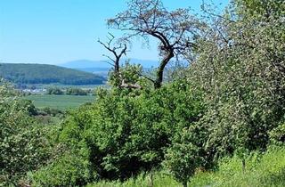 Grundstück zu kaufen in 63654 Büdingen, Traumhaftes Panorama-Grundstück mit Feldberg-Blick im Rhein-Main Gebiet