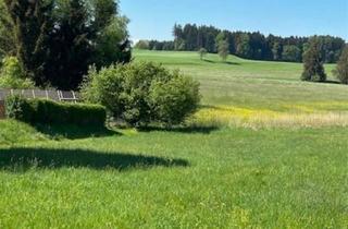 Anlageobjekt in 88267 Vogt, *Ideale Kapitalanlage* Vermietetes 3-Familienhaus im Allgäu