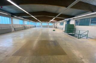Gewerbeimmobilie kaufen in 73342 Bad Ditzenbach, Produktions- und Lagerhallen in A8 Nähe