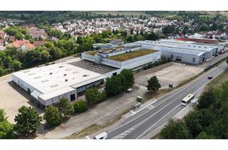 Gewerbeimmobilie mieten in 73326 Deggingen, Hallen / Lager / Produktion Nähe A8, an B 466