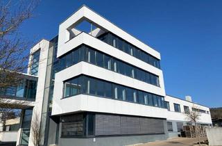 Büro zu mieten in 89555 Steinheim, Repräsentatives Büro mit Weitsicht