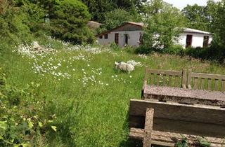 Haus kaufen in 66640 Namborn, Namborn - VON PRIVAT: EFH Haus Einzigartiges Naturparadies für Genießer